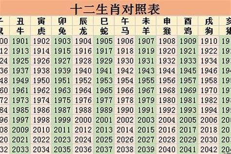 2023年是什么命